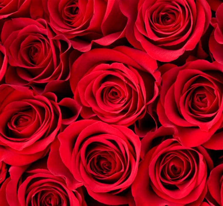 Formule Saint Valentin au Spa Le temps présent de Cuisery